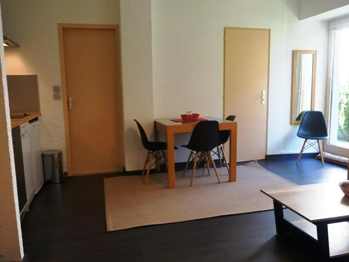 Appartement Cosy Au Centre De Chamonix Avec Jardin, 2 Pieces, Bien Equipe, Accepte Animaux - Fr-1-507-29