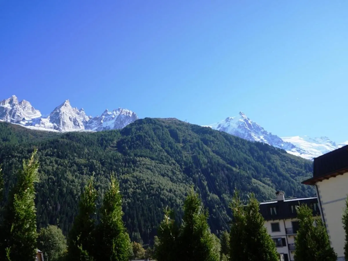 Апартаменты Appartement Cosy Au Centre De Chamonix Avec Jardin, 2 Pieces, Bien Equipe, Accepte Animaux - Fr-1-507-29